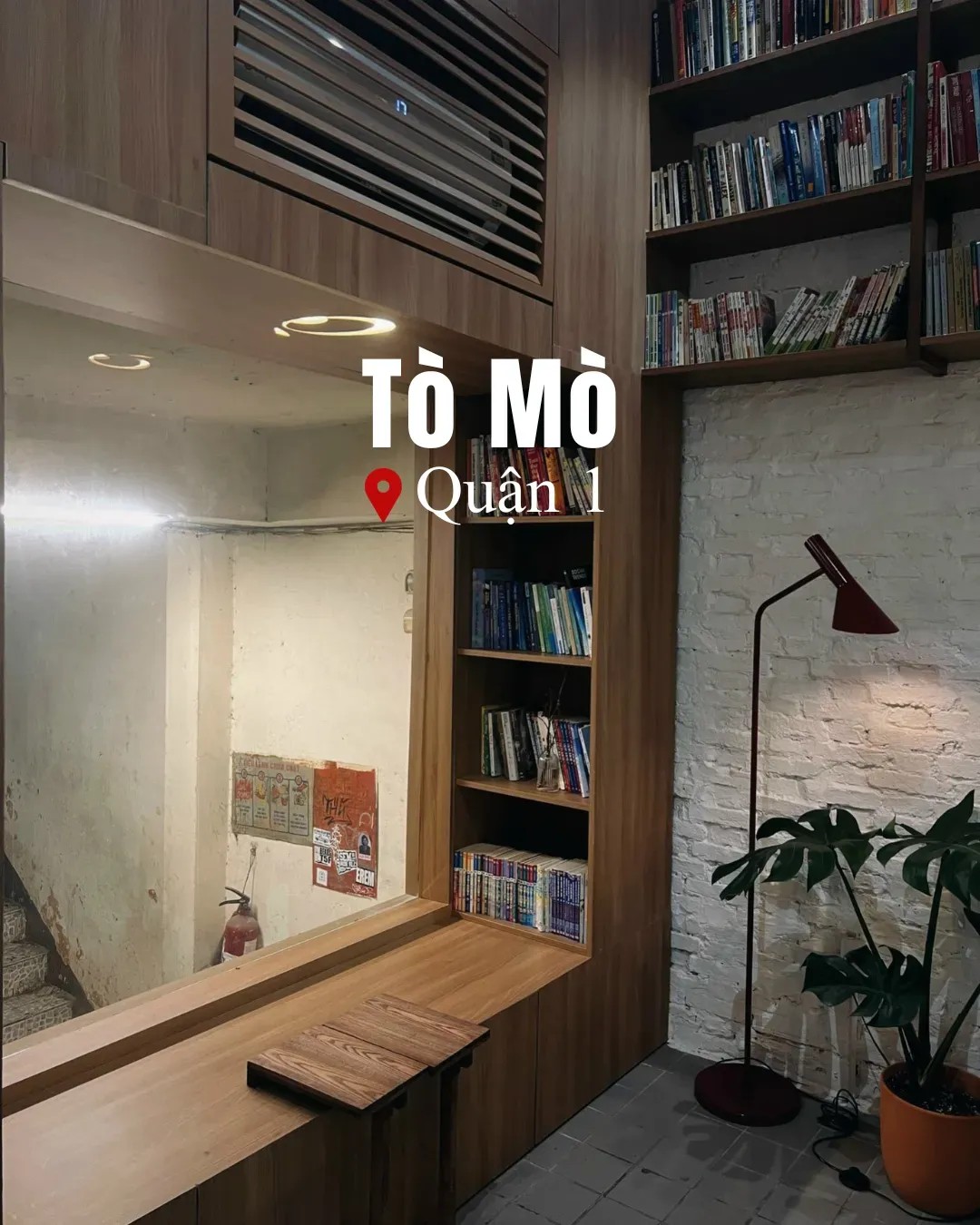 Tò Mò